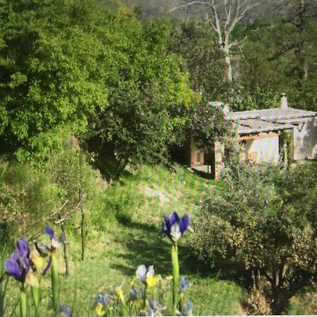 Villa Cortijo La Vinuela Atalbeitar Esterno foto