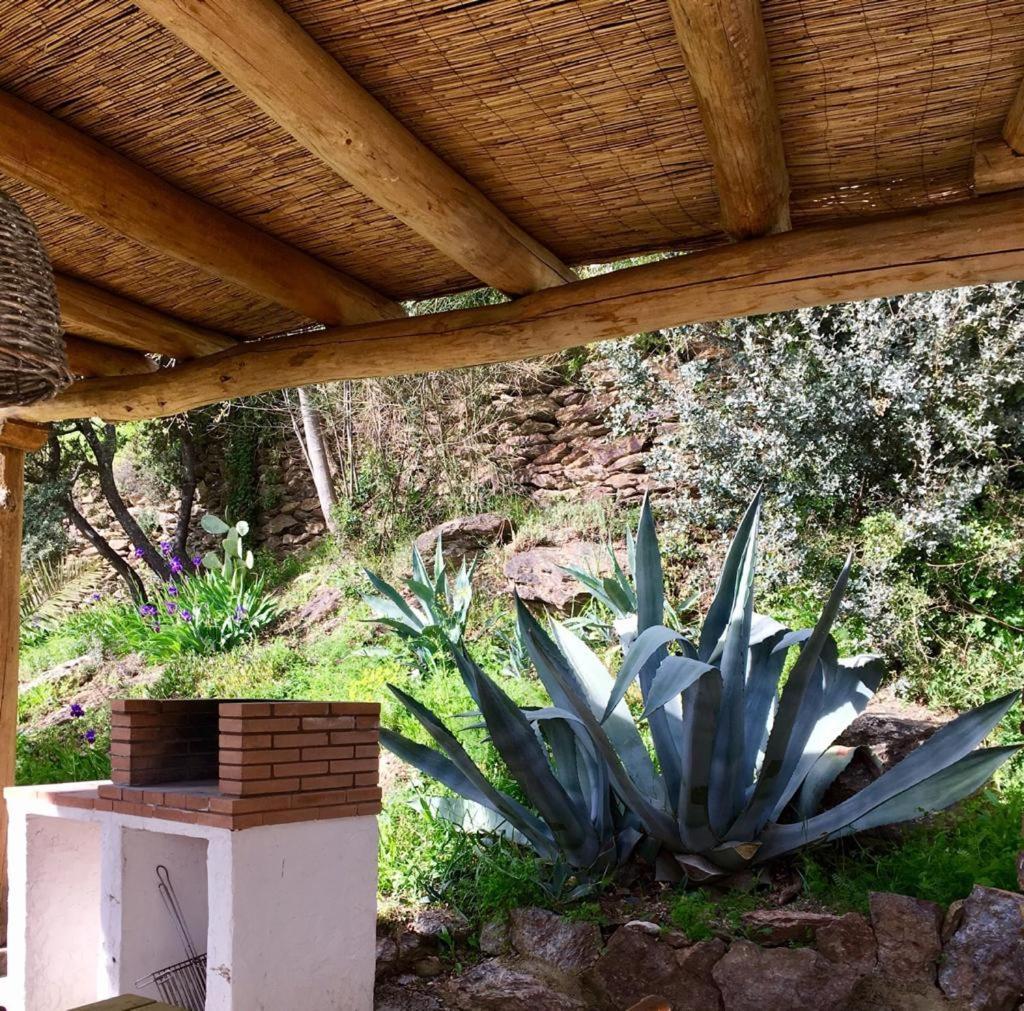 Villa Cortijo La Vinuela Atalbeitar Esterno foto