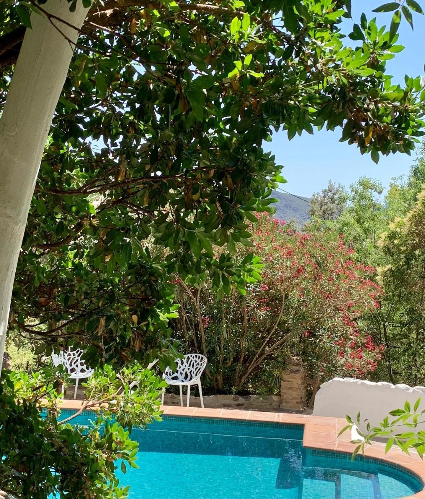 Villa Cortijo La Vinuela Atalbeitar Esterno foto