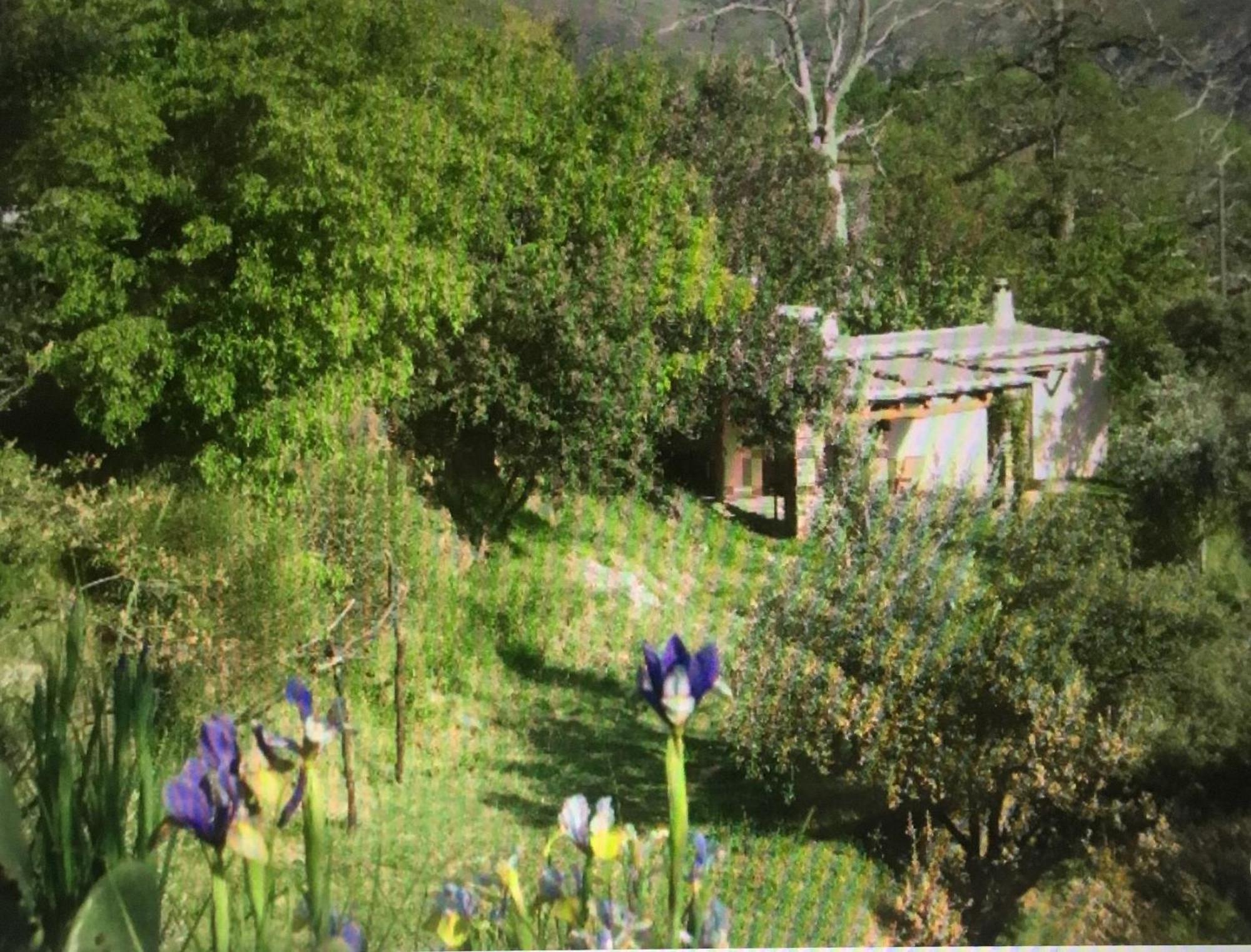 Villa Cortijo La Vinuela Atalbeitar Esterno foto