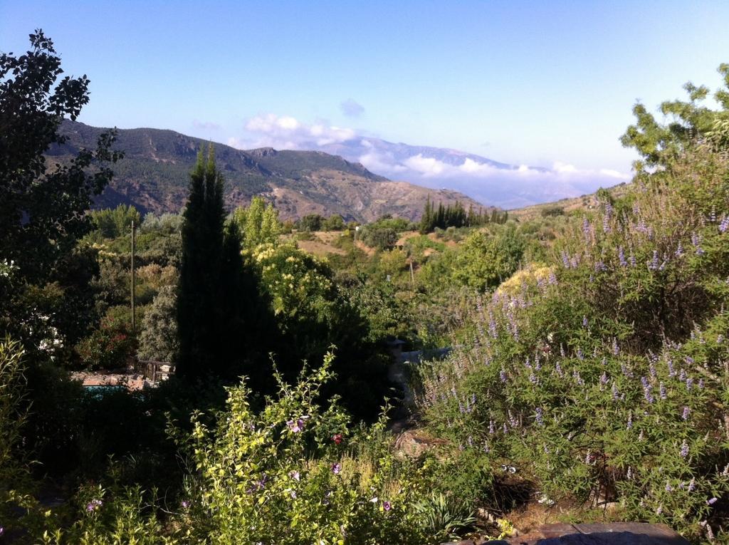 Villa Cortijo La Vinuela Atalbeitar Esterno foto